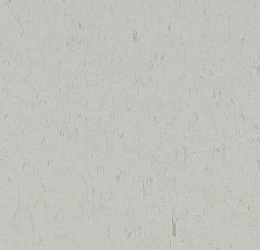 Forbo Marmoleum Solid Piano 3629-362935 frosty grey фото 1 | FLOORDEALER